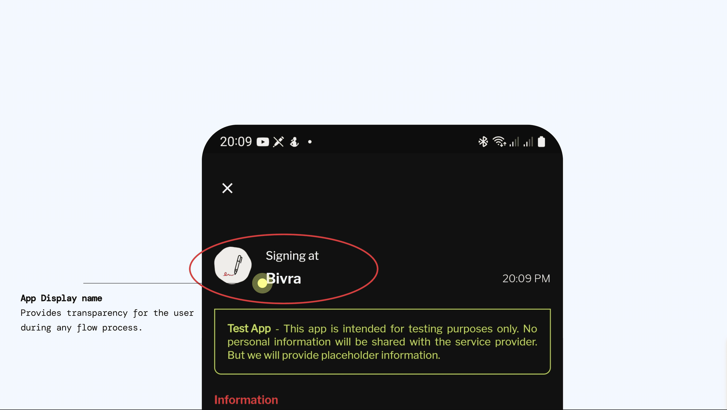 Application display name shown to end users